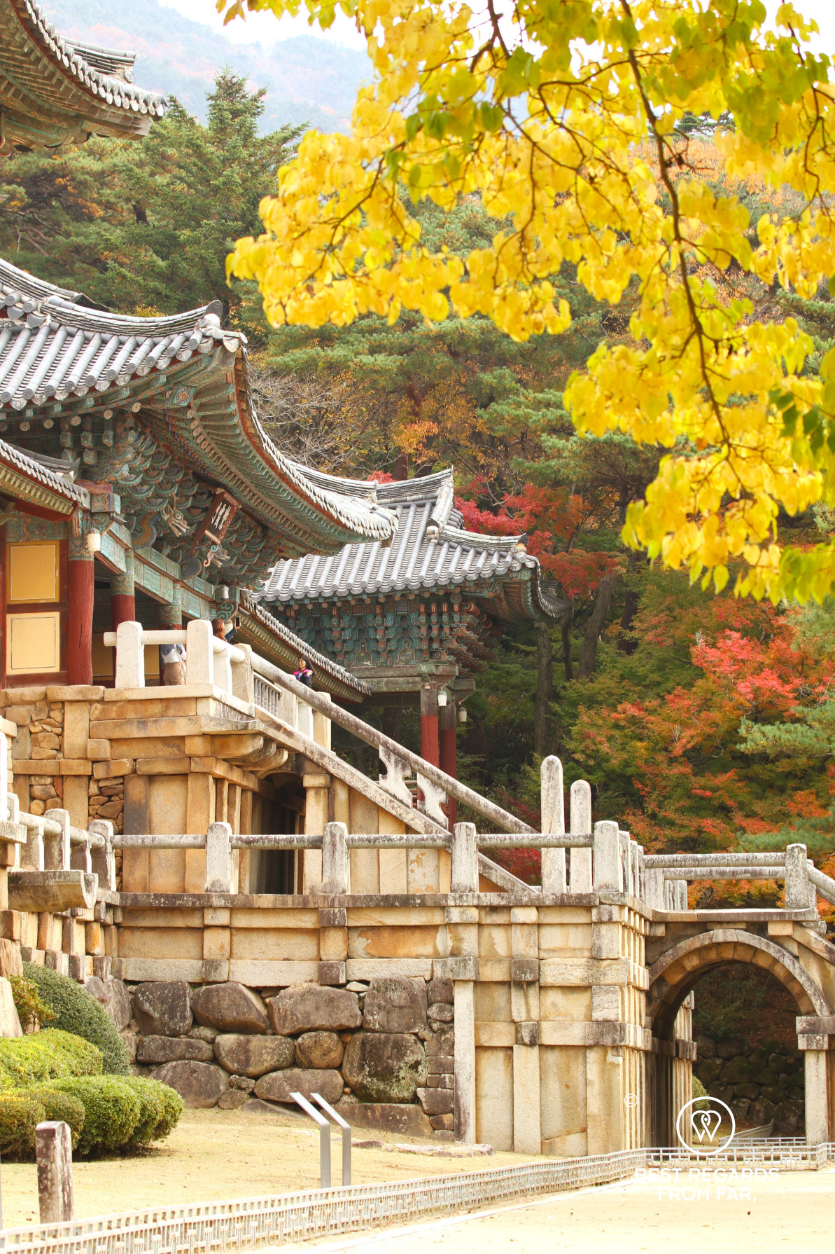Bulguksa temple in South Korea with fall colors.