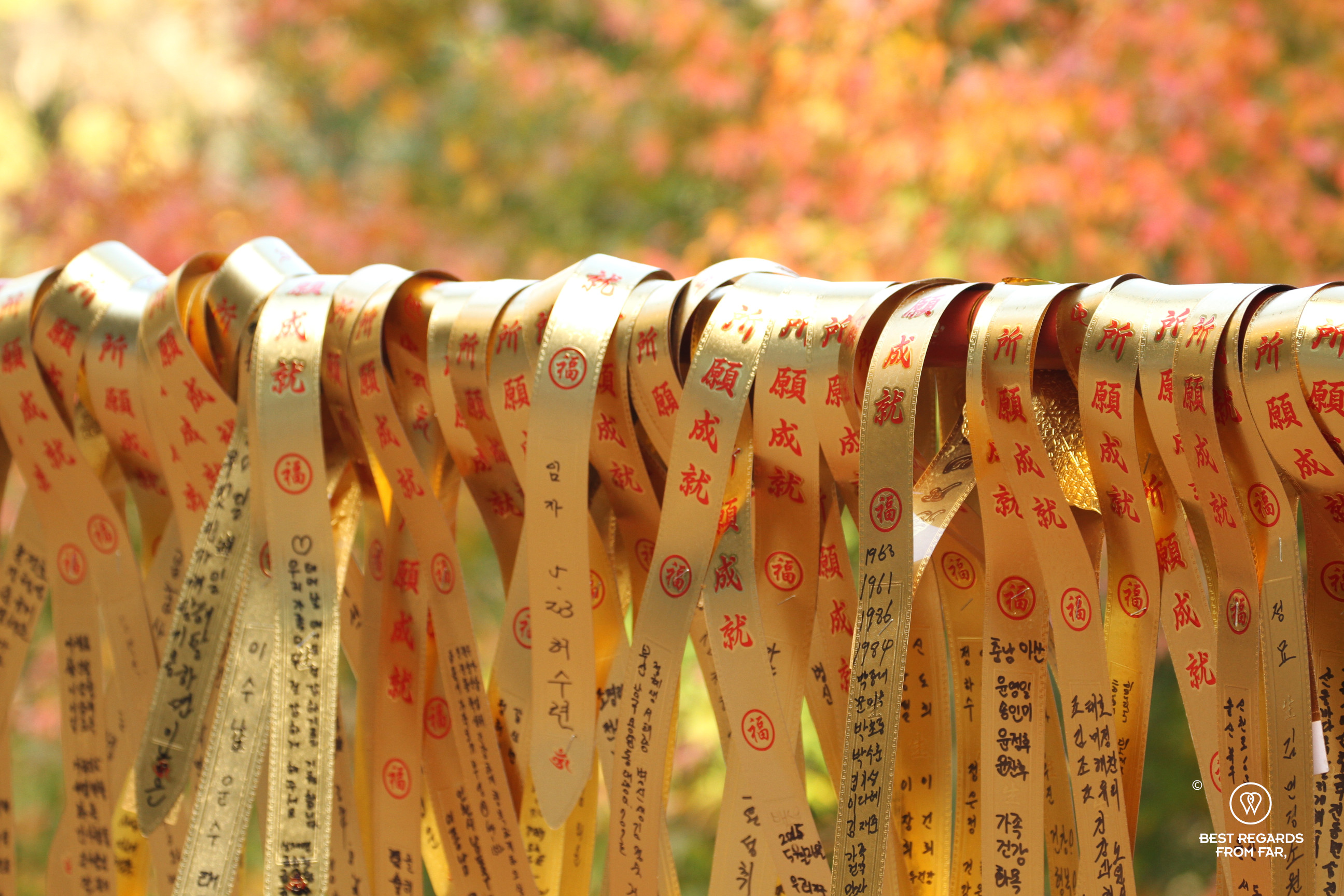 Golden ribbons of Golgulsa temple offerings in South Korea.