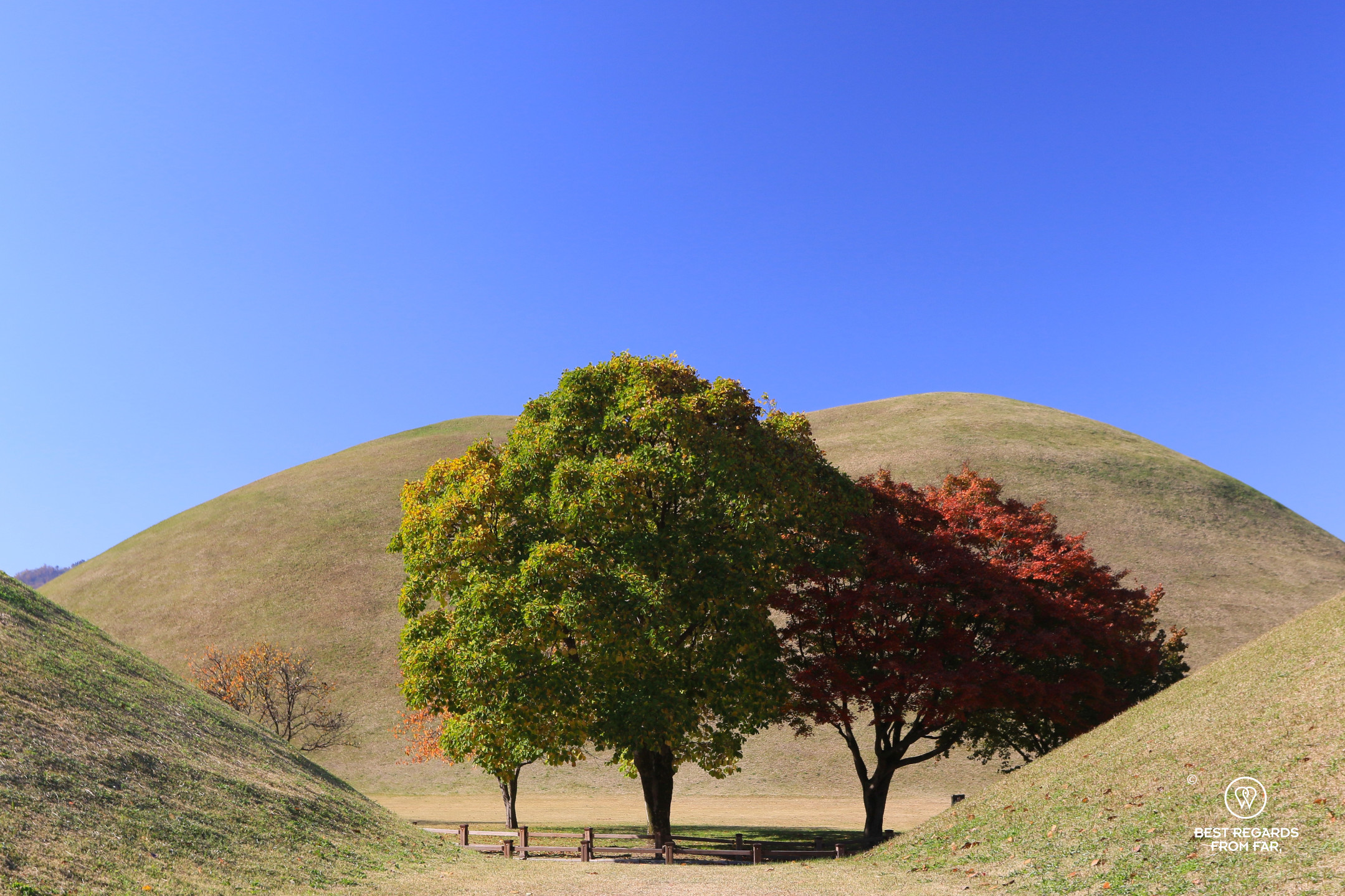 Hills of the Silla royal tombs in Gyeongju.