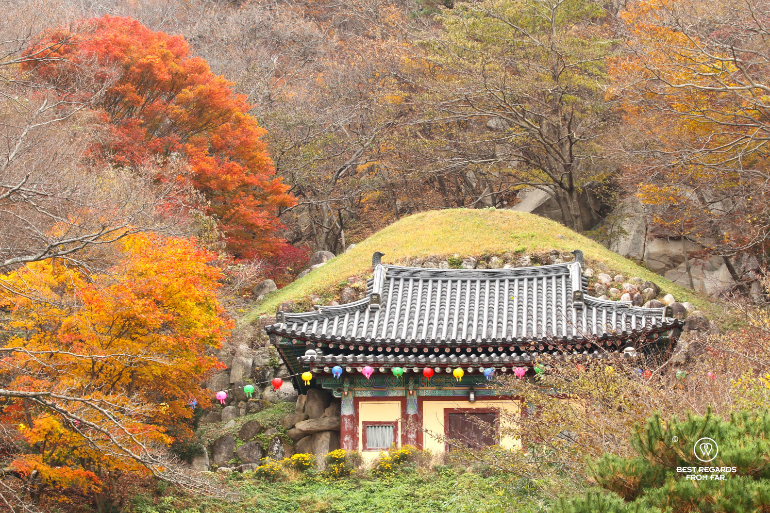 Seokguram Grotto seen from the outside with fall colors in South Korea.