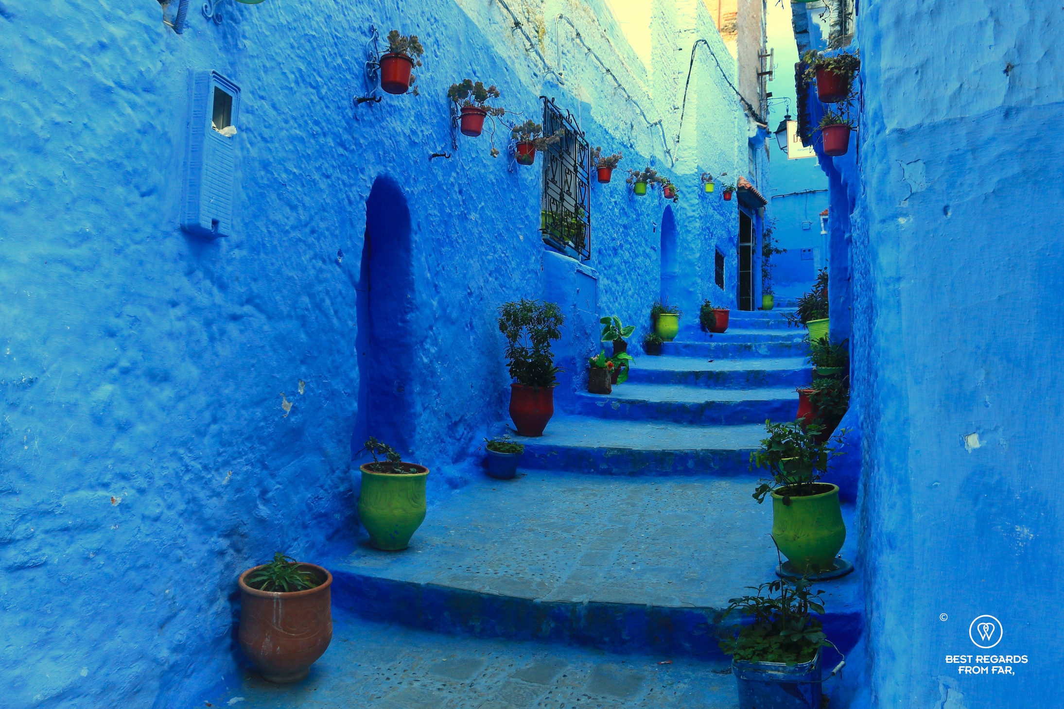 A blue alley in Chefchaouen lined with flower pots.