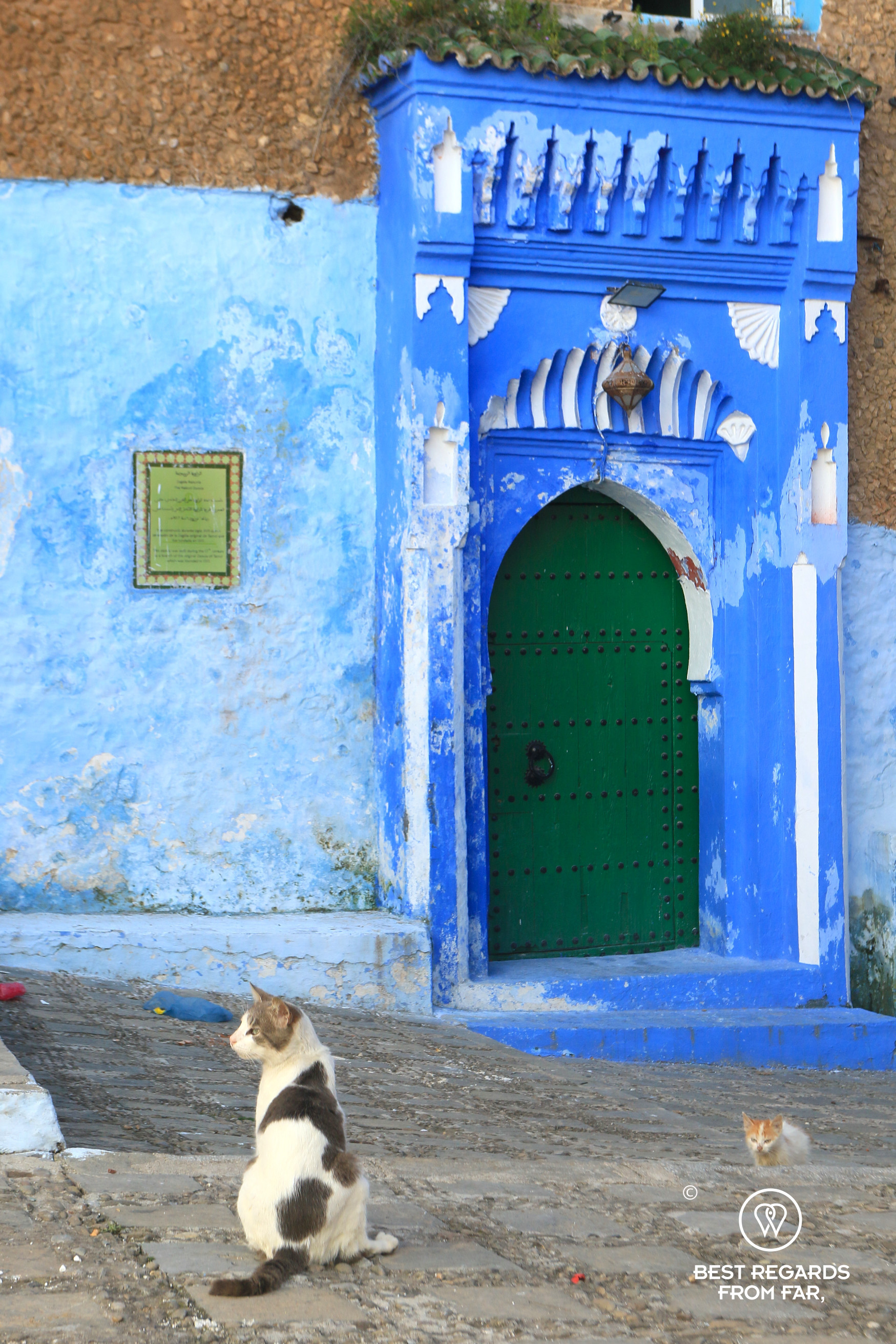 Cats in front of a green door in Chefchaouen behind which Sayyida al-Hurra rests for eternity.