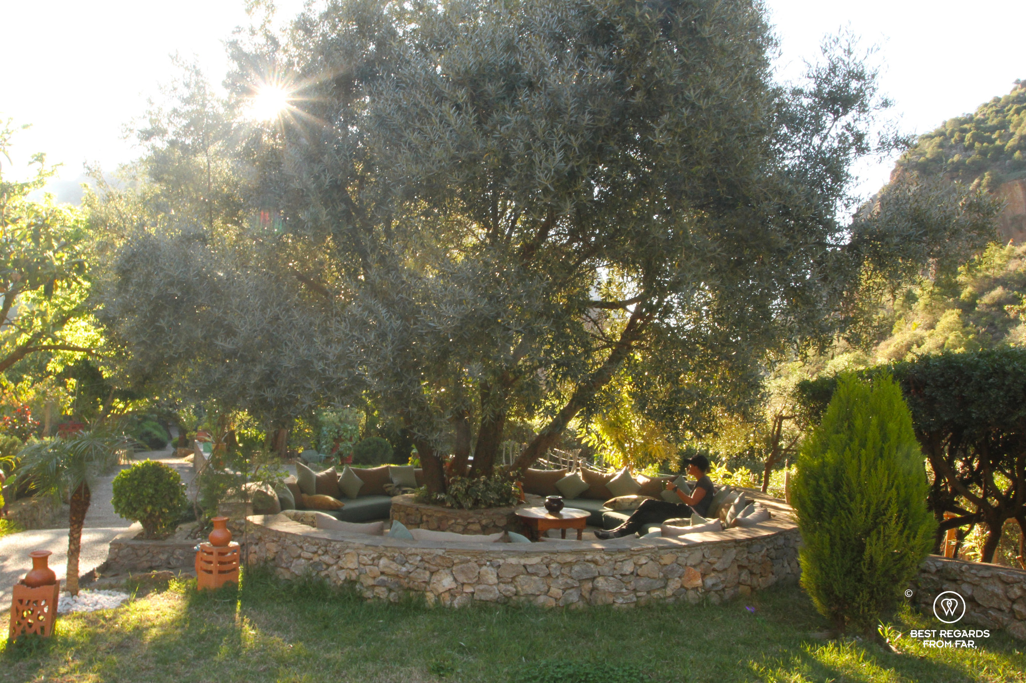 Relaxing at sunset by a majestic olive tree at Ermitage d'Akchour.