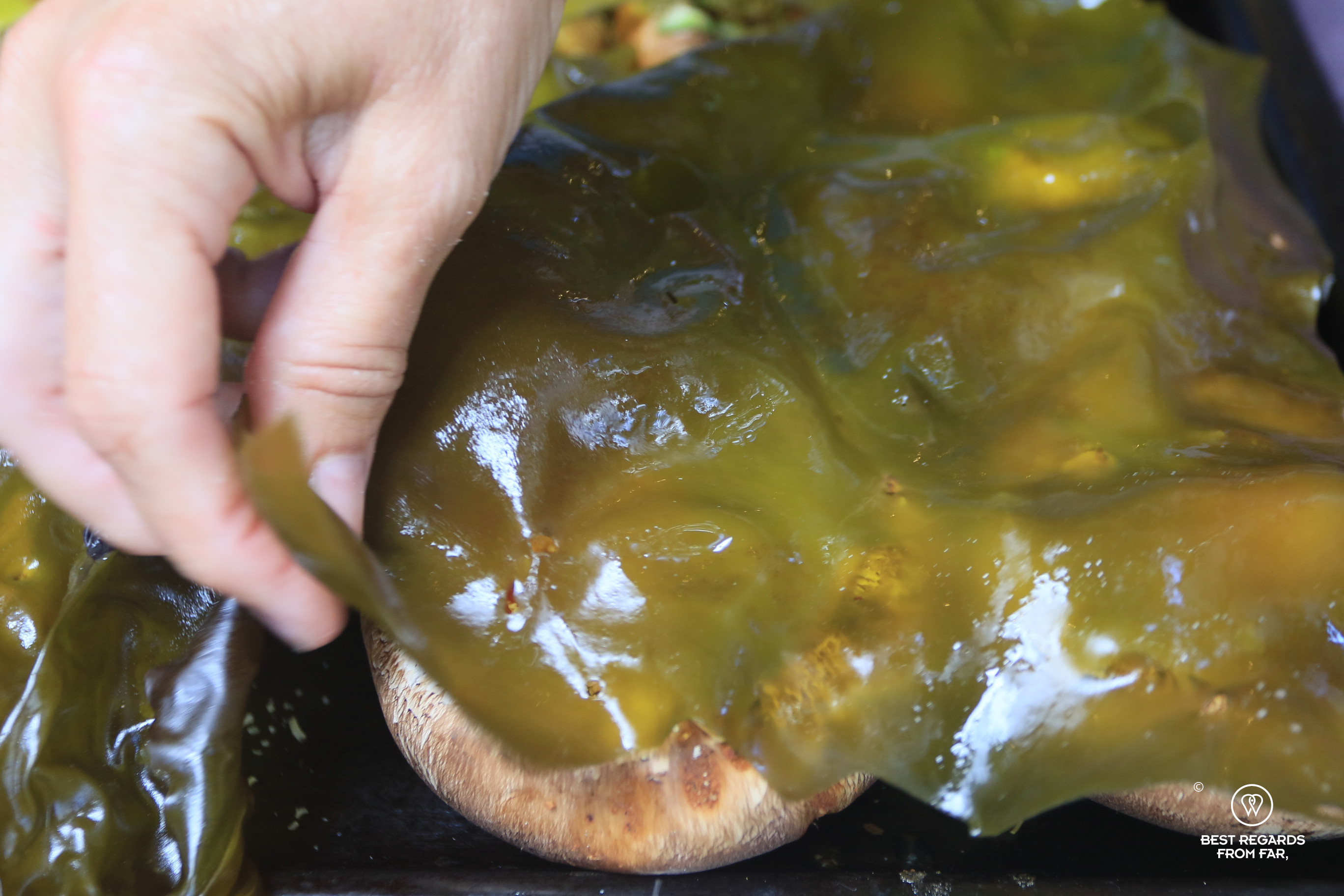 Covering a stuffed mushroom with a slippery orbit seaweed.