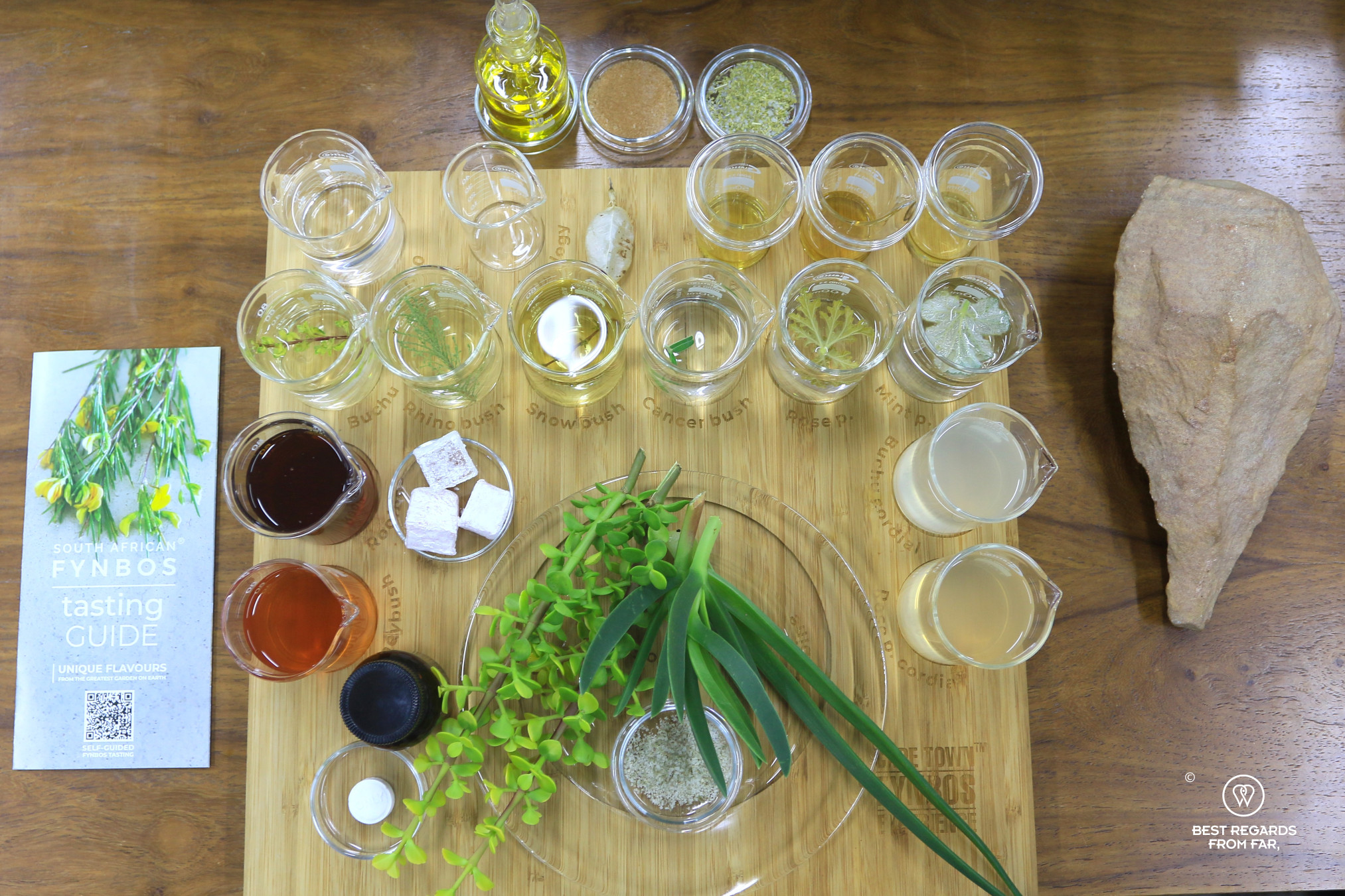 Wooden board with beakers with fynbos at Cape Town Fynbos Experience.