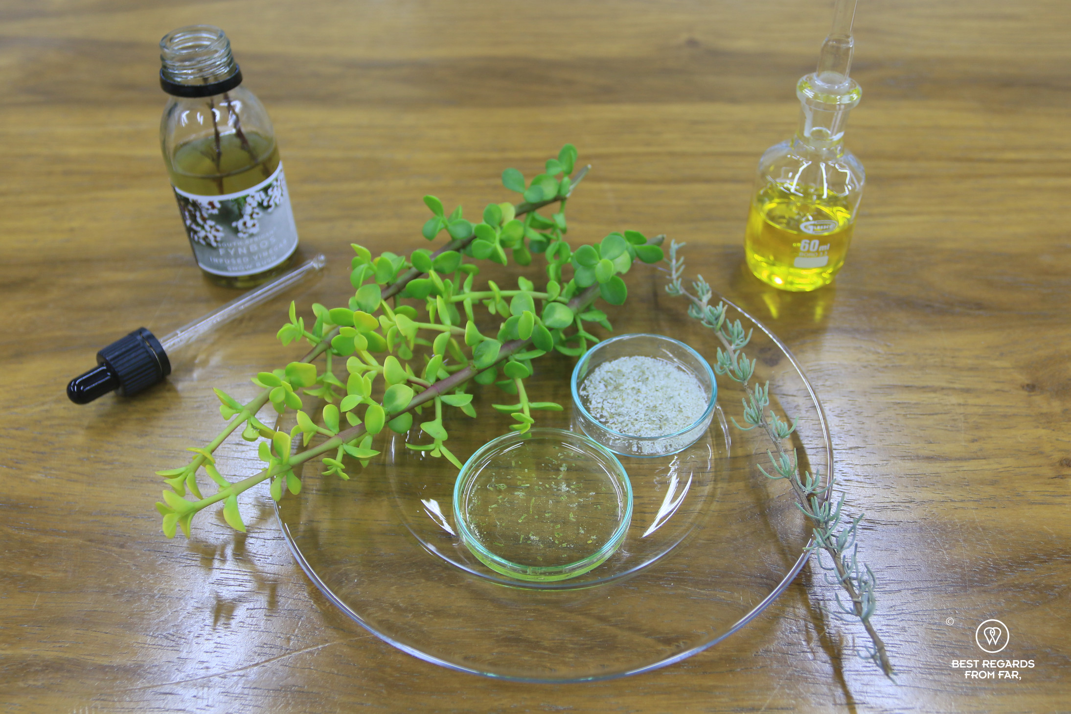 Plate with salt, oil and fynbos at Cape Town Fynbos Experience.