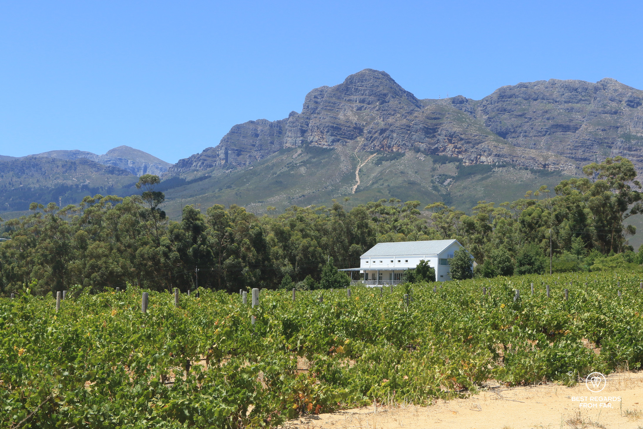 Cape Town Fynbos Experience amidst vineyards in Wellington in South Africa.