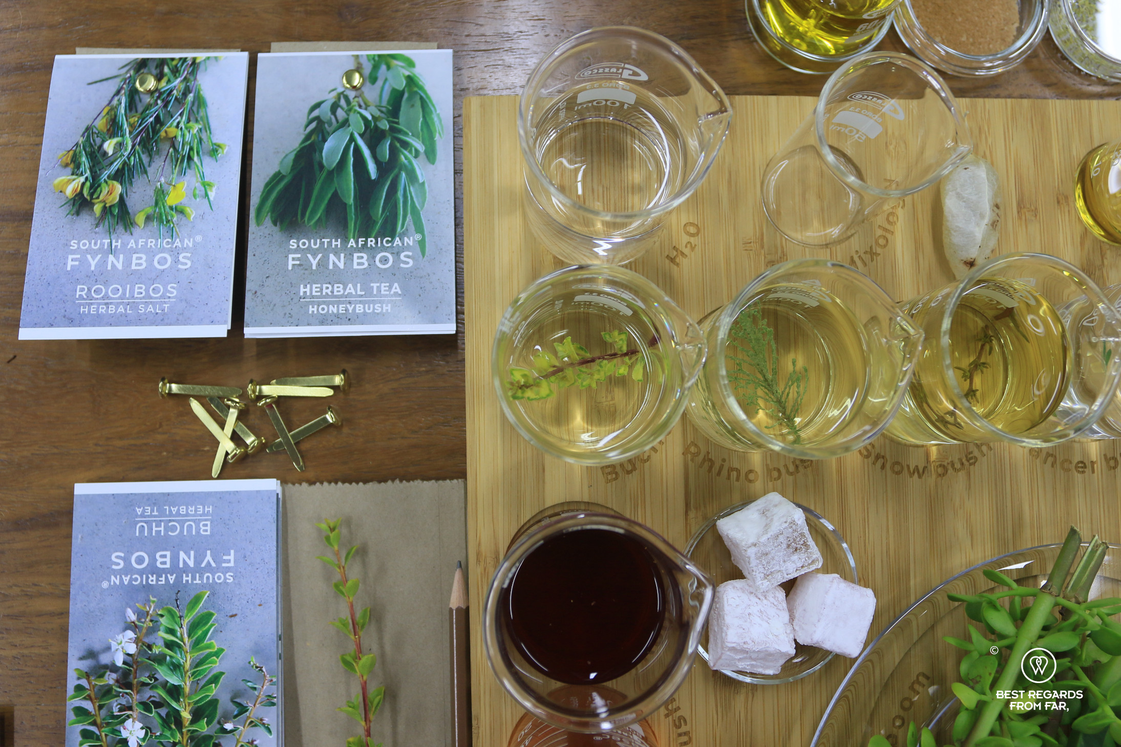Wooden board with beakers with fynbos at Cape Town Fynbos Experience.