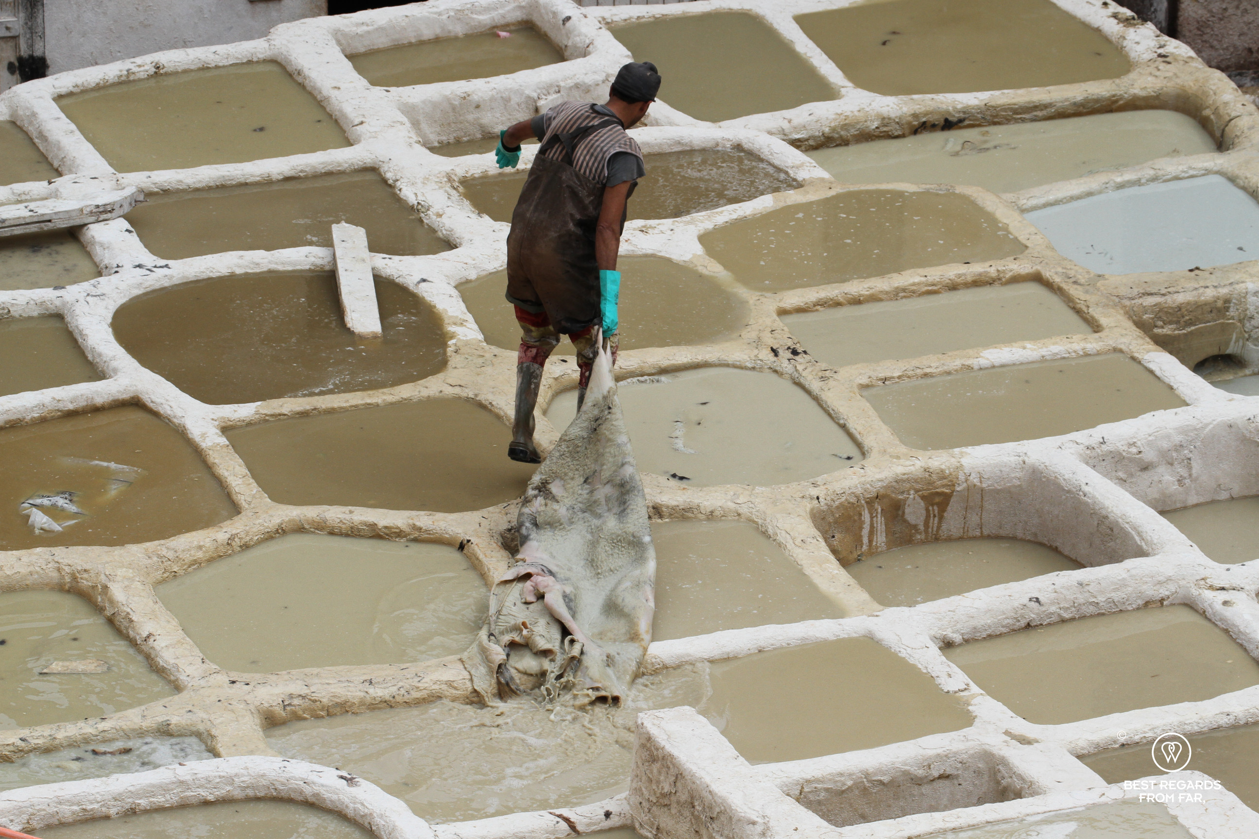 Man dragging a fresh cow skin over a series of bathes filled with chemicals at a leather tannery.