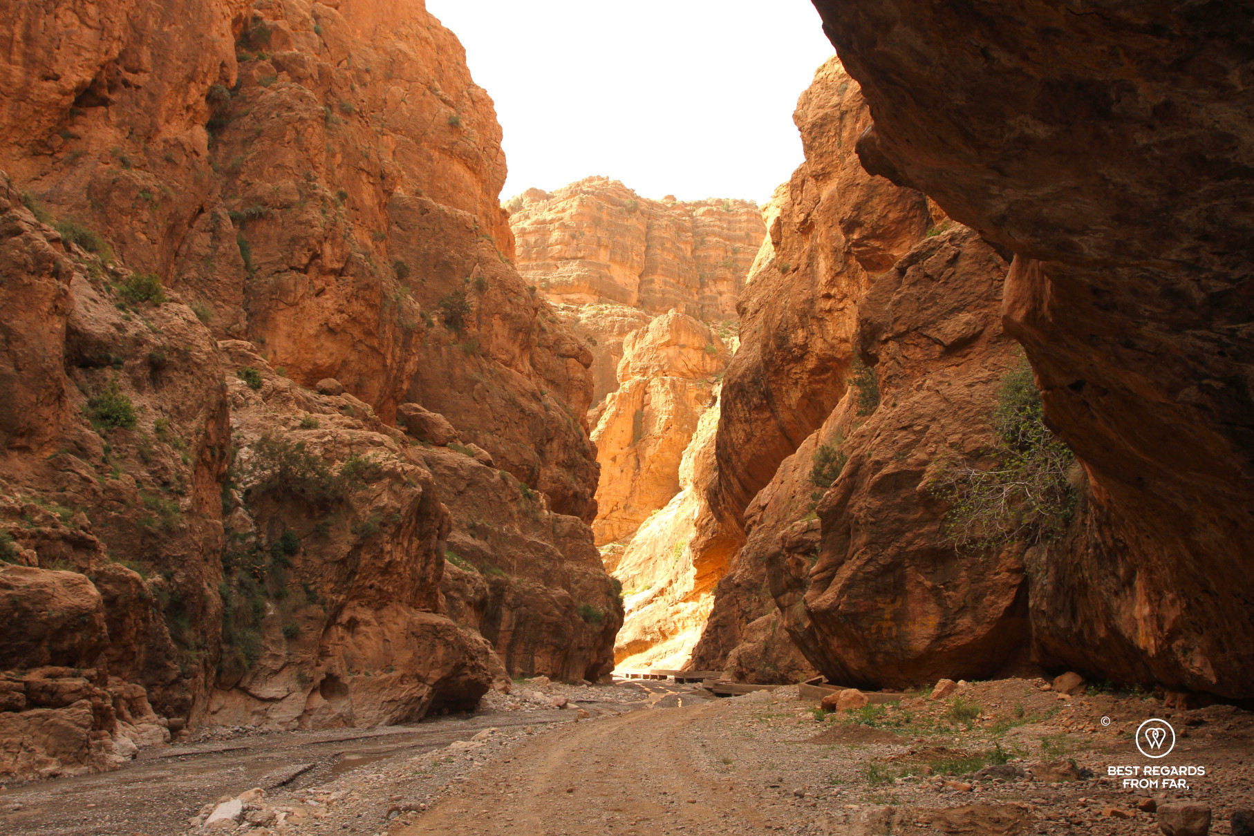Amejgag Gorge in Morocco.