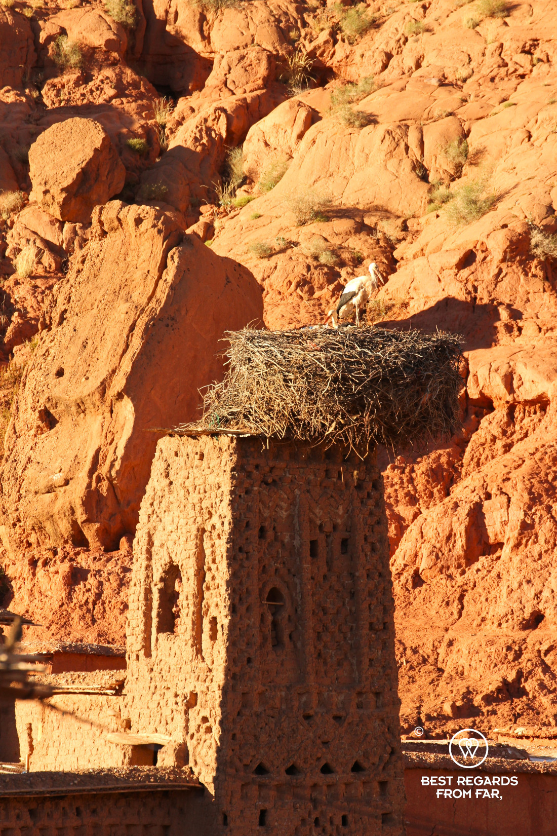 Storks in their nest above the crumbled adobe tower of a kasbah in Bou Tharar.