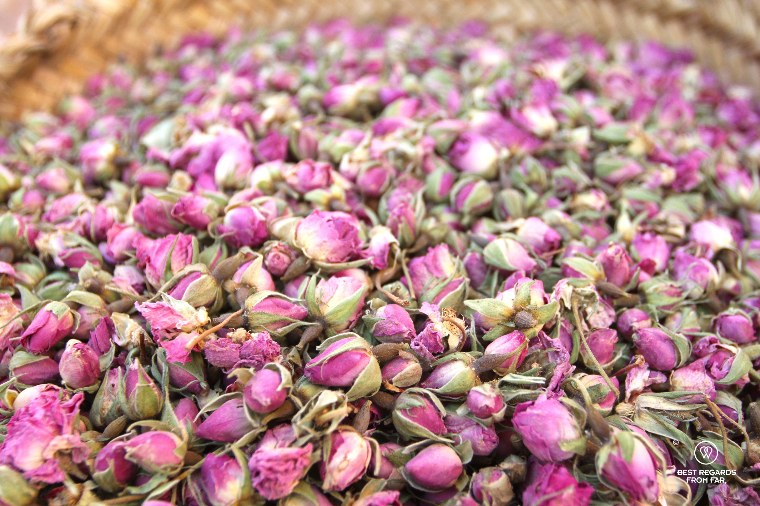 Dried rose buds in a basket in the Valley of the Roses.