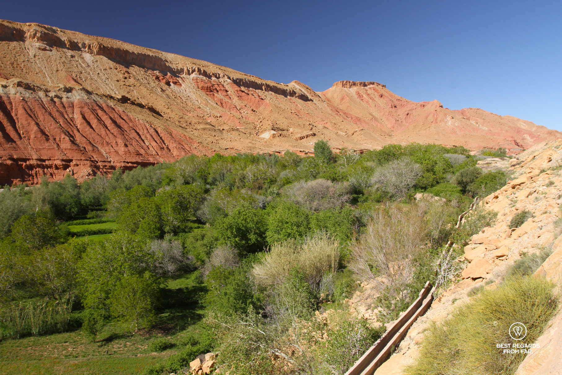Green valley and arid mountains in the Valley of the Roses in Morocco.