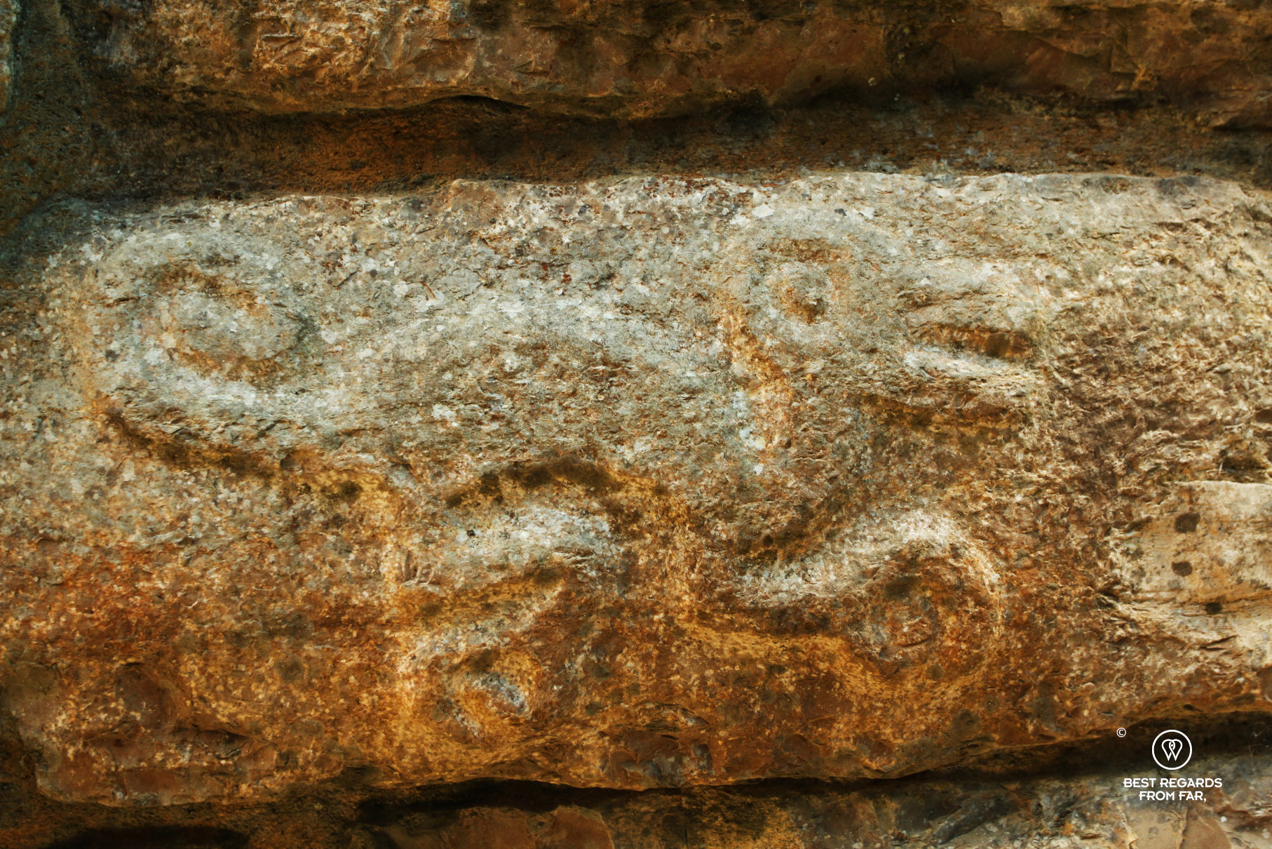 The relief of an animal on the Chachapoyas ruins of Kuelap.