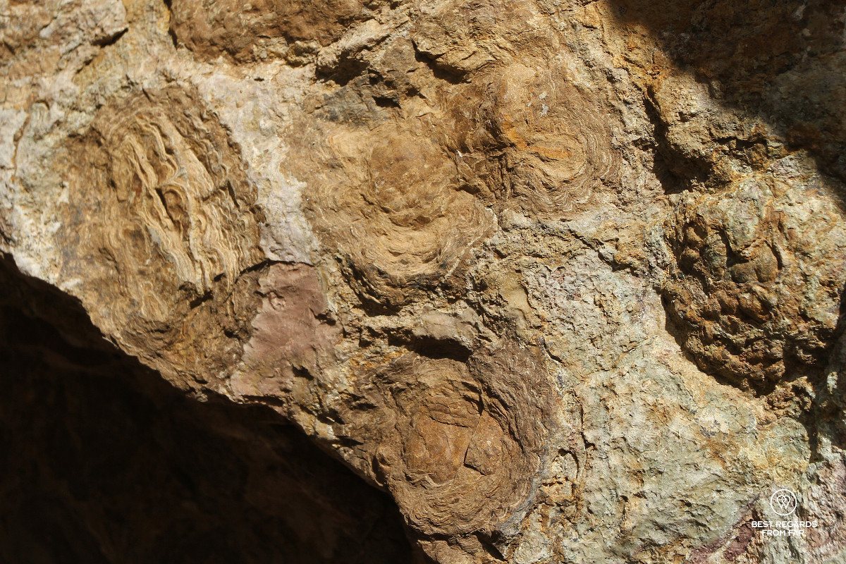 Stromatolite fossils in the rocks.
