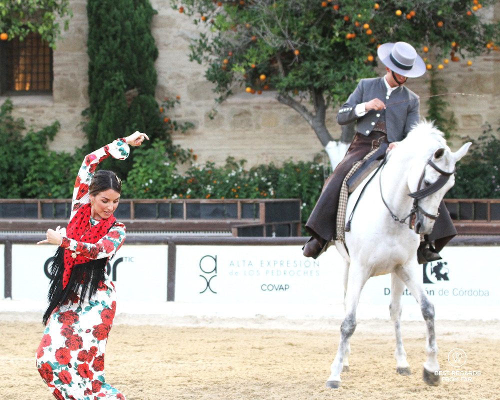 White Andalusian horse dancing with a flamenca dancer at the Cordoba Ecuestre horse dressage show at the royal stables.