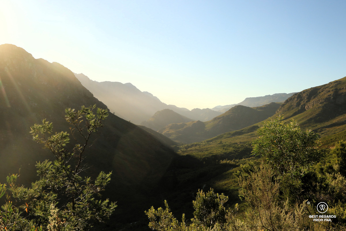 Green mountains at sunrise at the Du Toit's Kloof Pass in South Africa.