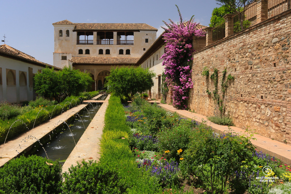 The Generalife water piece with flowers at the Alhambra.