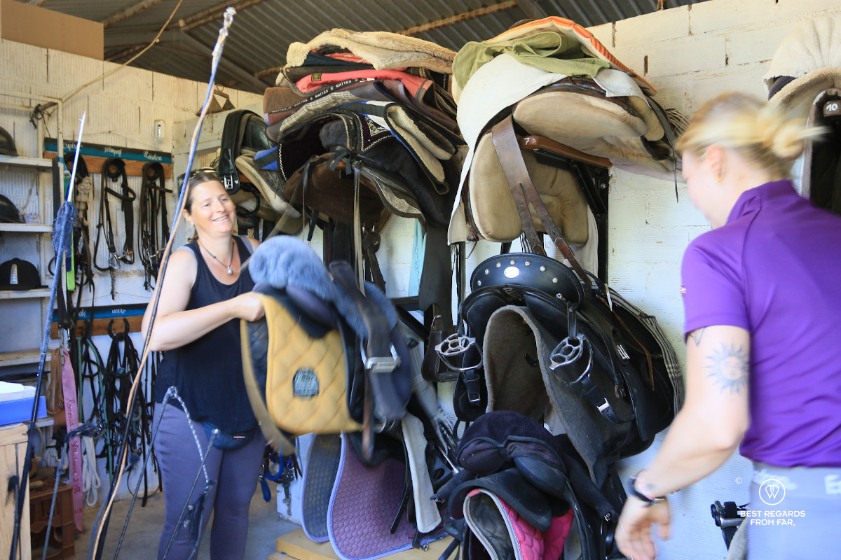Handling saddles in a stable.