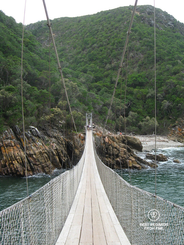 Narrow suspension bridge leading to a forest in the Tsitsikamma NP in South Africa.