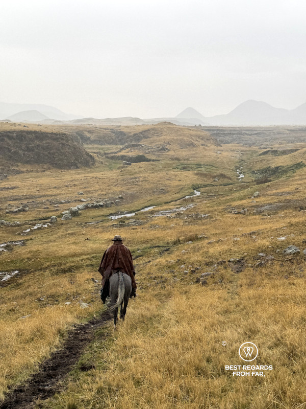 A chagra cowboy horseback riding in Cotopaxi National Park in Ecuador.