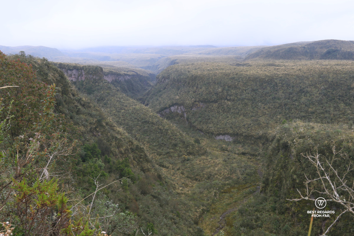 Green landscape in Cotopaxi National Park in low clouds.