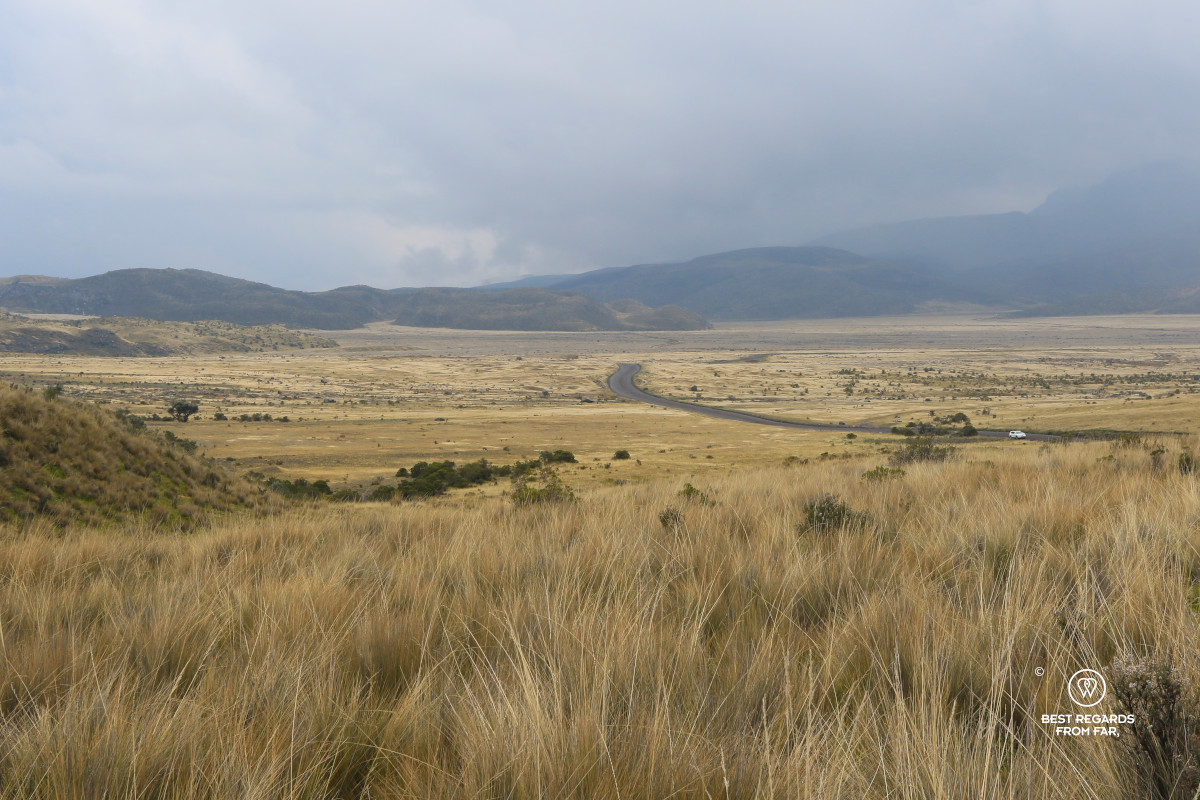 A dirt road going through the hostile landscape of Cotopaxi National Park in Ecuador.