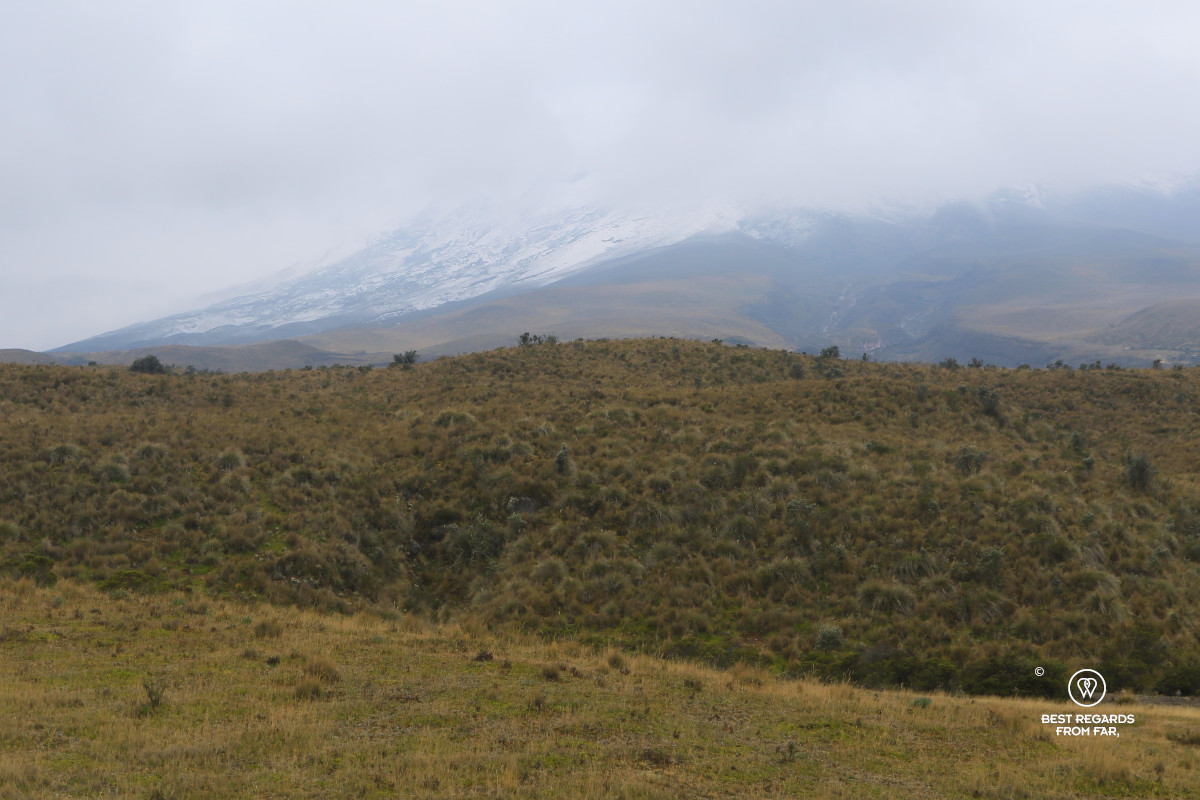 The cone of Cotopaxi Volcano hidden in clouds and covered in snow.