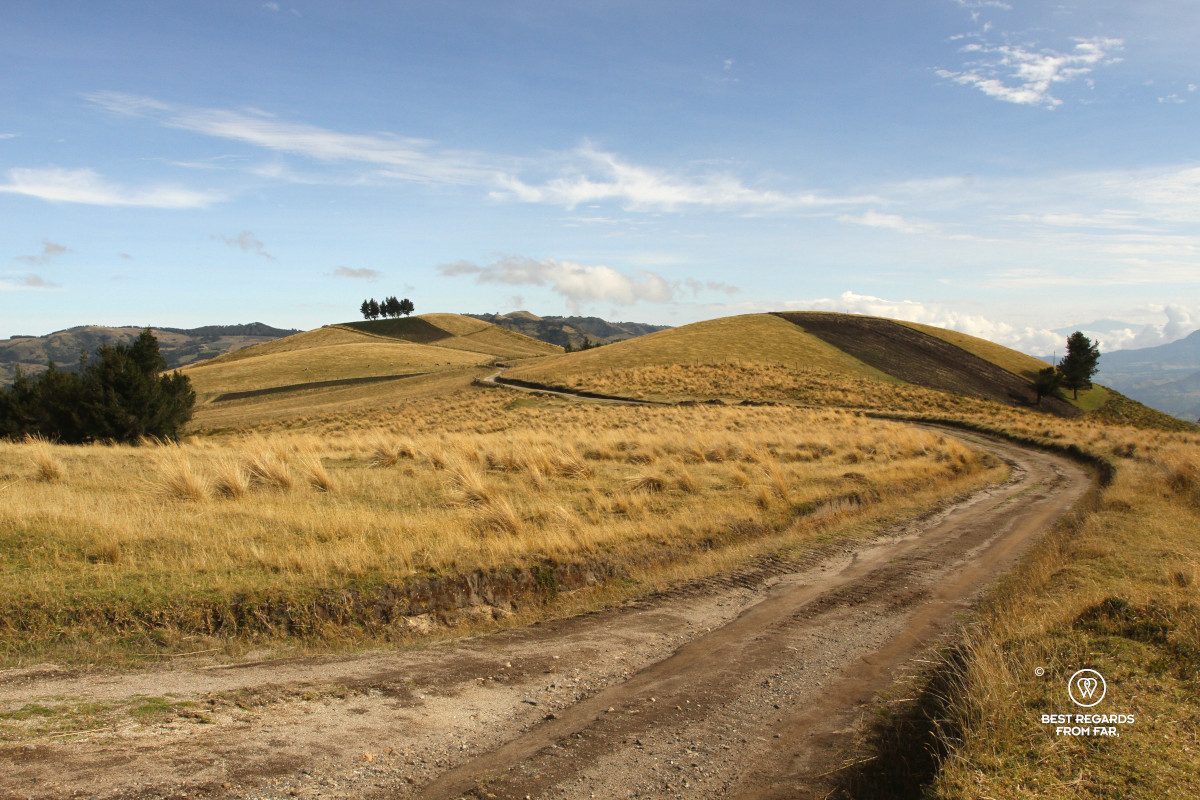 Winding dirt road over a grassy ridge line.