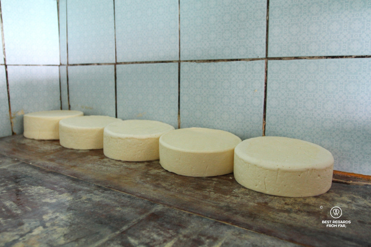 5 Andean cheeses on a wooden board in an artisanal cheese factory in Ecuador.