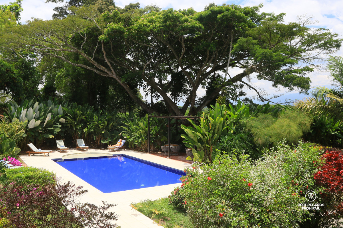 The swimming pool at Hacienda Bambusa surrounded by vegetation.