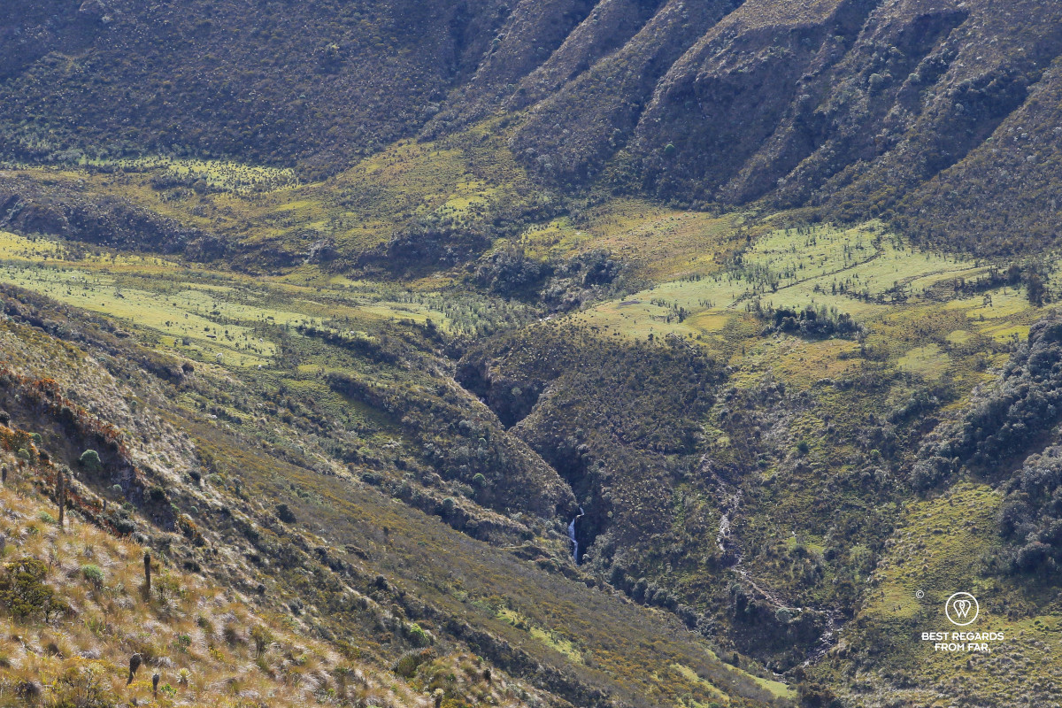 View on a torrent in Los Nevados NP in Colombia.