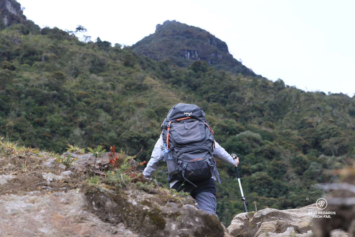Hiker with a 65-liter backpack and hiking poles in Los Nevados NP in Colombia.
