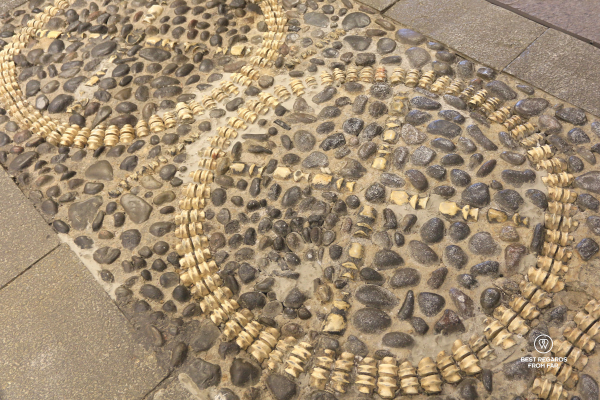 Bones in the street to showcase wealth in Quito.