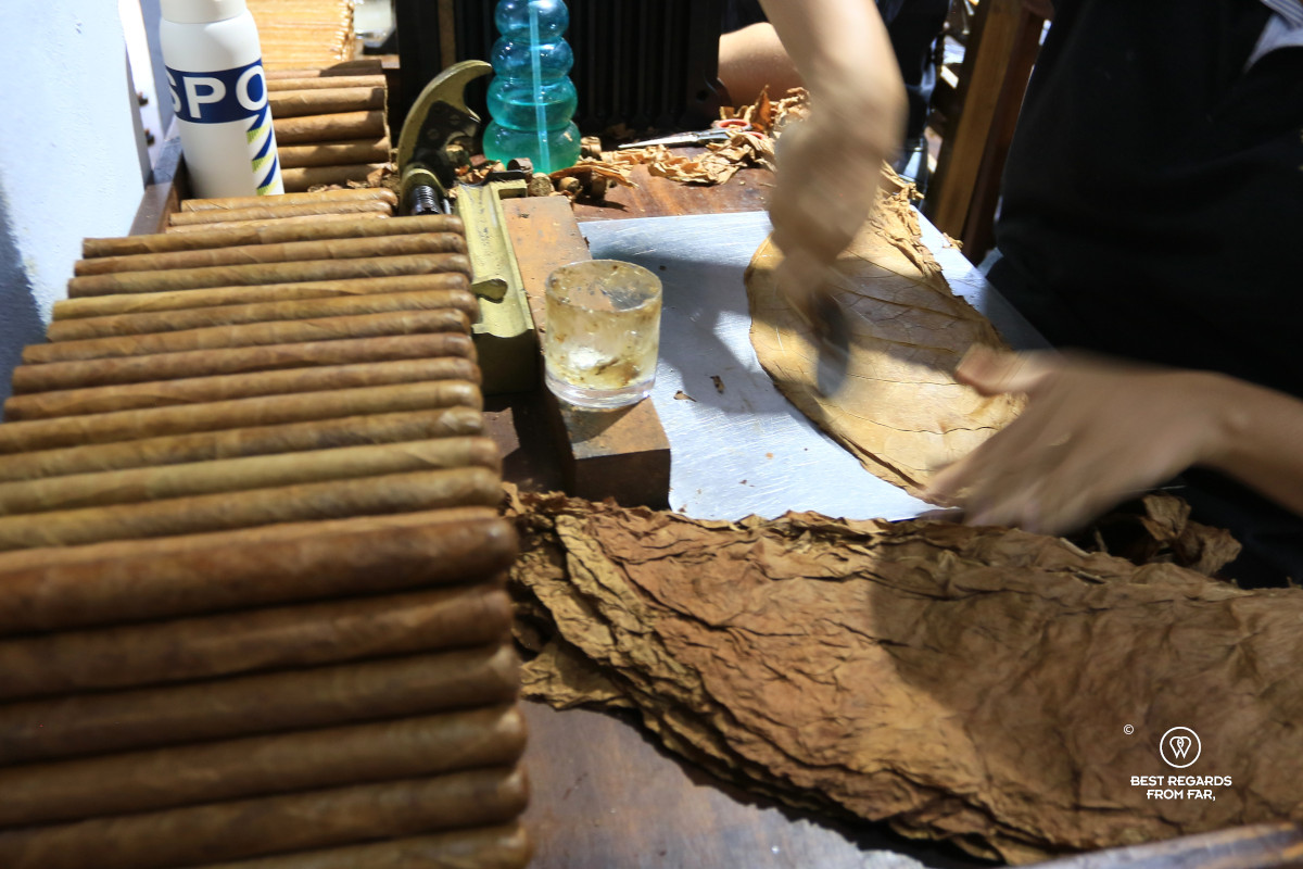 Hands of a woman working on the wrapper of a cigar at the Bribon Cigar workshop in Barichara.