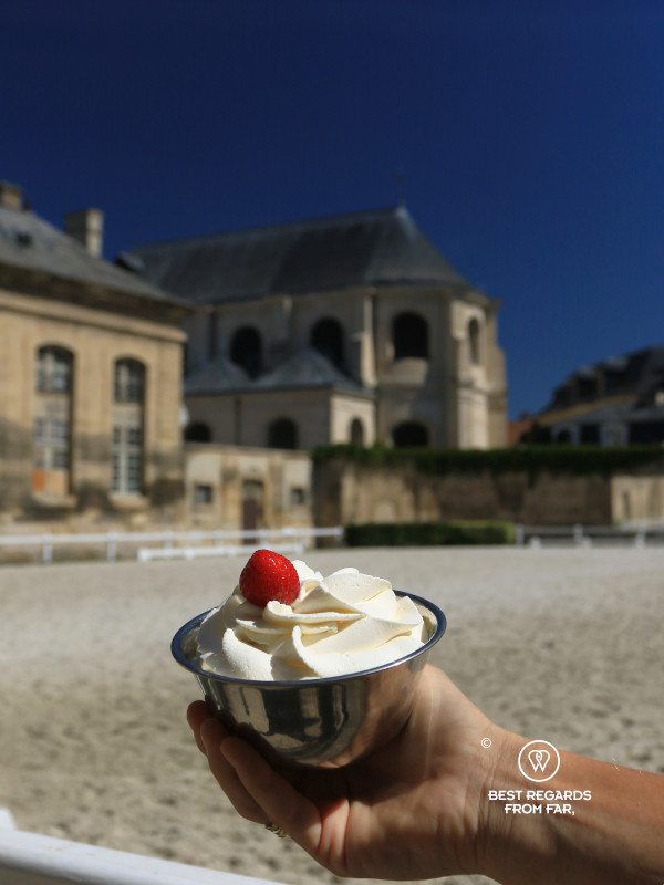 Chantilly cream by the great stables of the castle of Chantilly.
