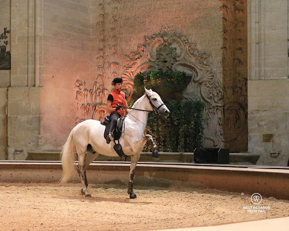 Rider on a white horse performing during a horse show in the Great Stables of the Castle of Chantilly.