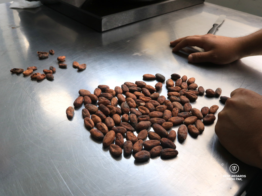 Selecting only the best cacao beans.