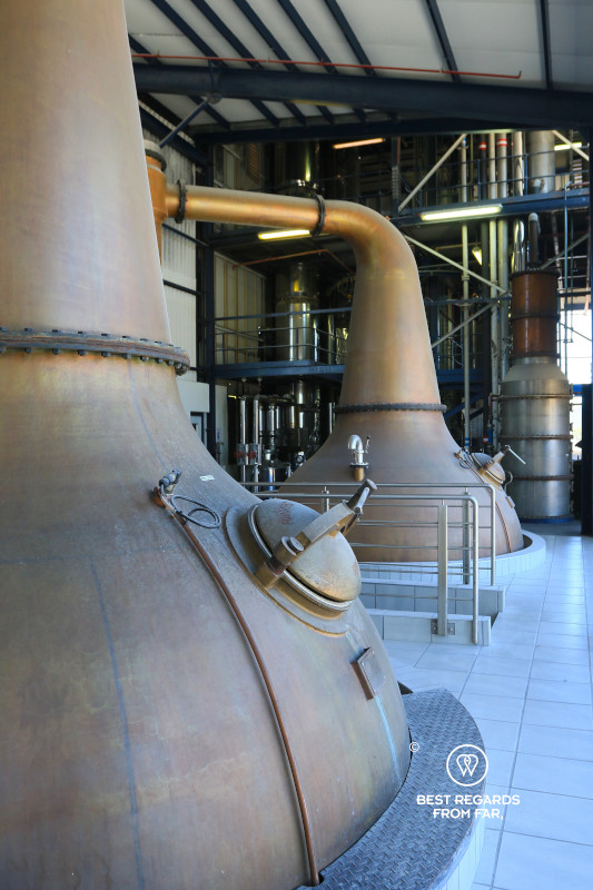Copper alembics at the James Sedgwick Distillery in Wellington in South Africa.