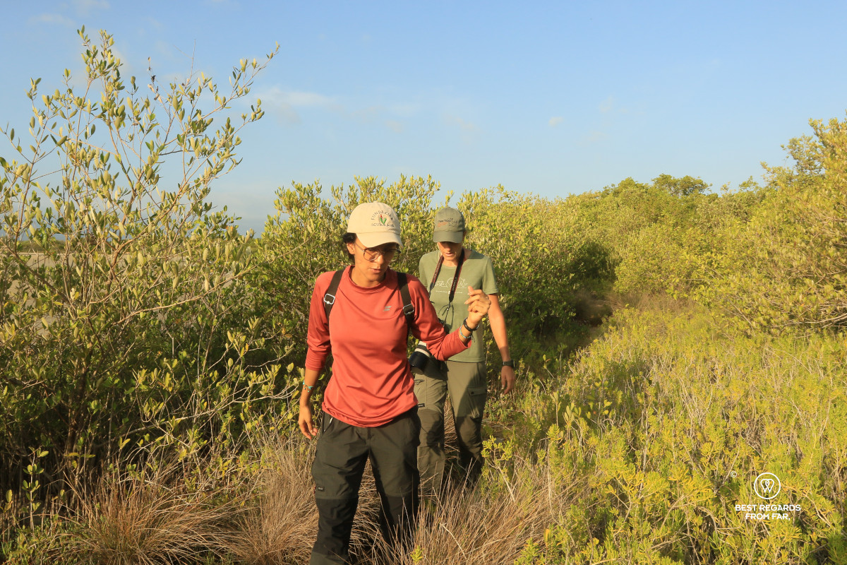 Environmental walk at Awatawaa Ecolodge in Colombia.