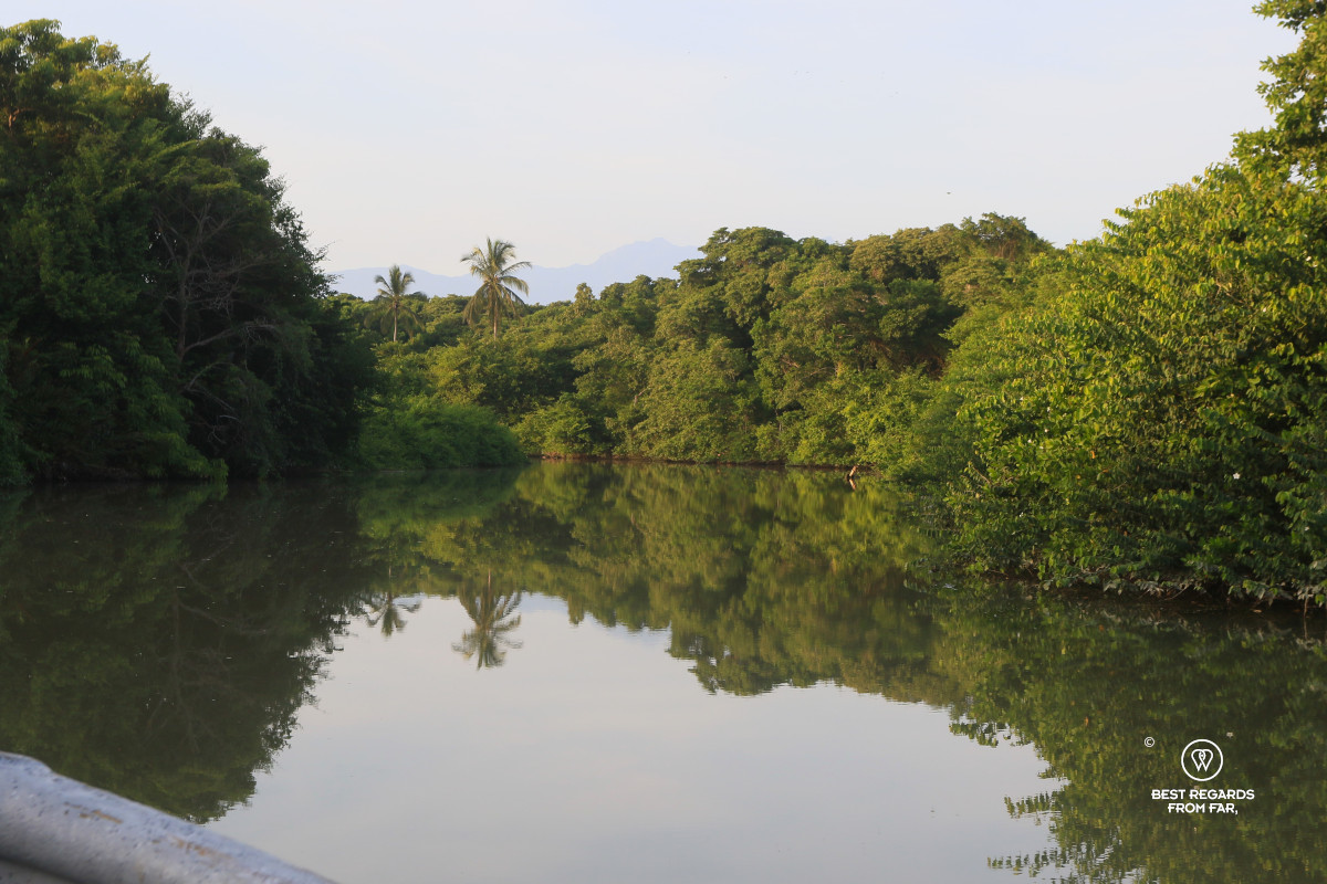 Reflection on the jungle in the calm river water in Colombia.