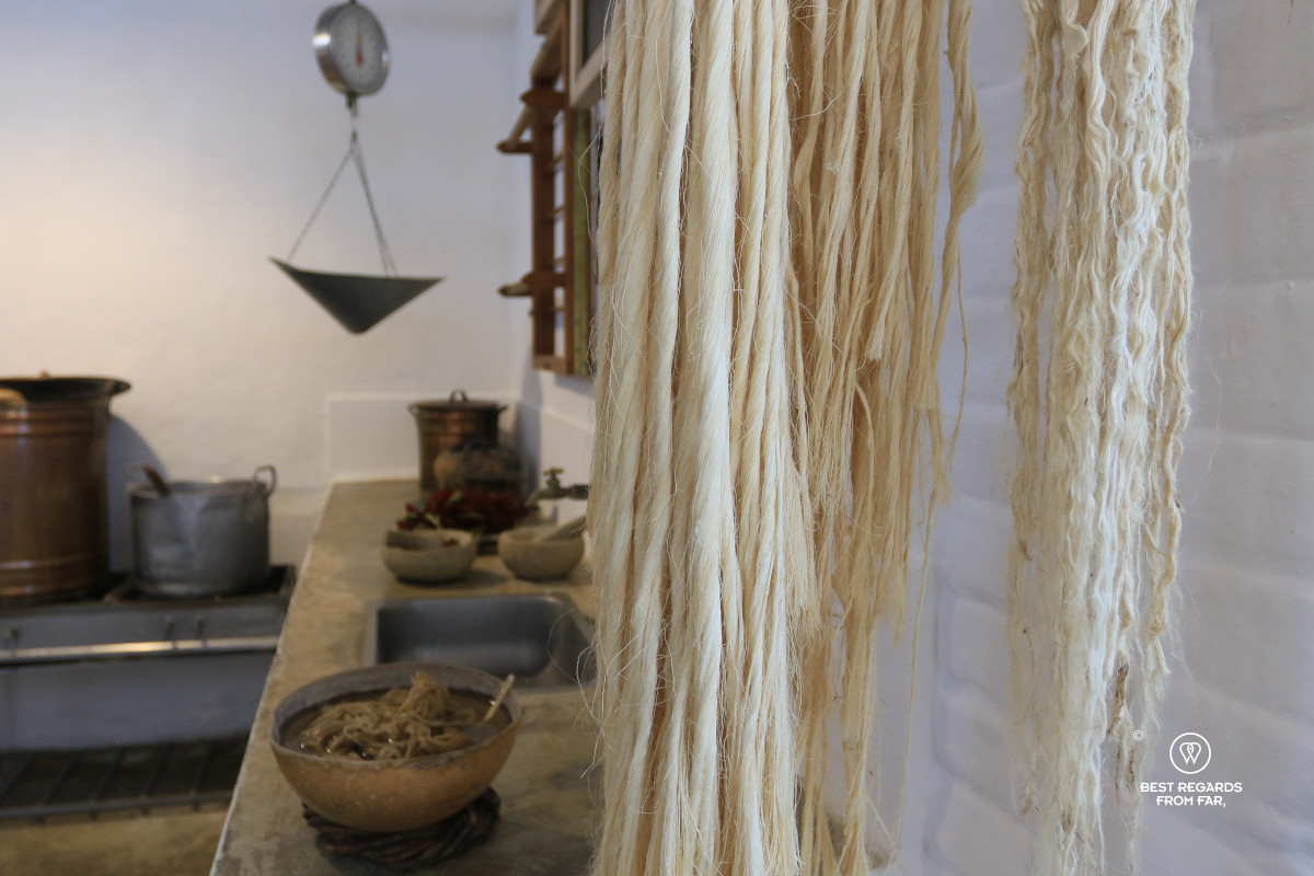 Vegetal fibers drying to make paper.