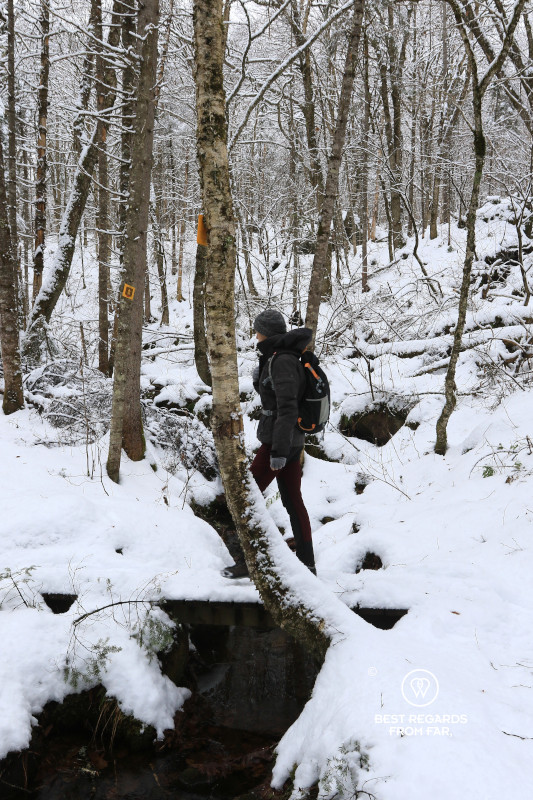Hiker walking in the in snow in the Jacques Cartier NP in Quebec.