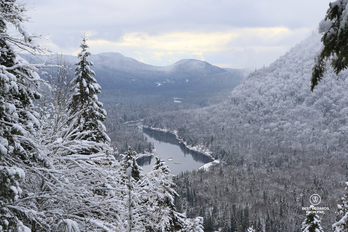 Fir trees covered in snow framing the Jacques Cartier River with the Laurentian Mountains in the background in Quebec.