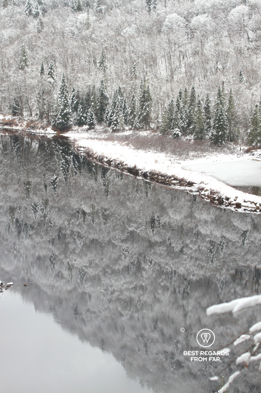 Reflections of fir trees covered in snow in the Jacques Cartier River in Quebec.