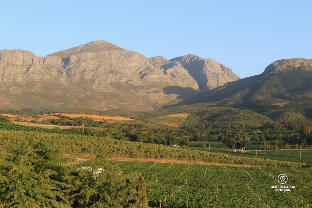 View on the Hawequa Moutains with vineyards in the foreground from Val du Charron wine estate in Wellington.