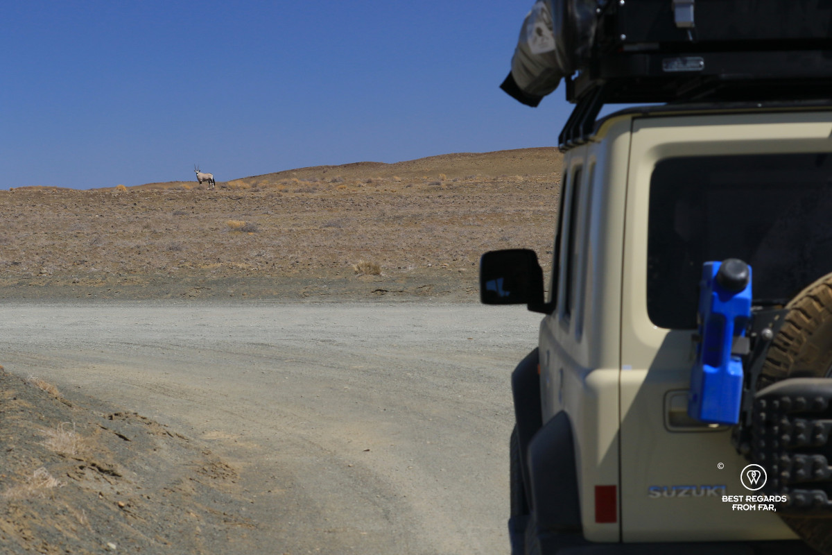 The rear of a Suzuki Jimny with an oryx in the background.