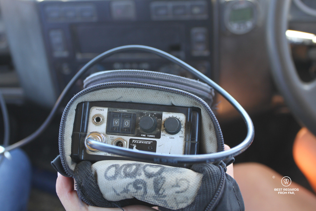 A radio transmitter to track the cheetah.