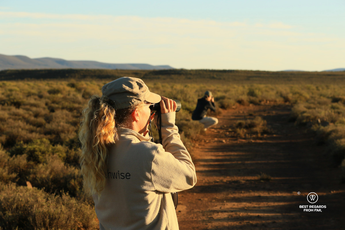 A field guide at Rogge Cloof scanning for wildlife with binoculars in the sunrise light in the Karoo.