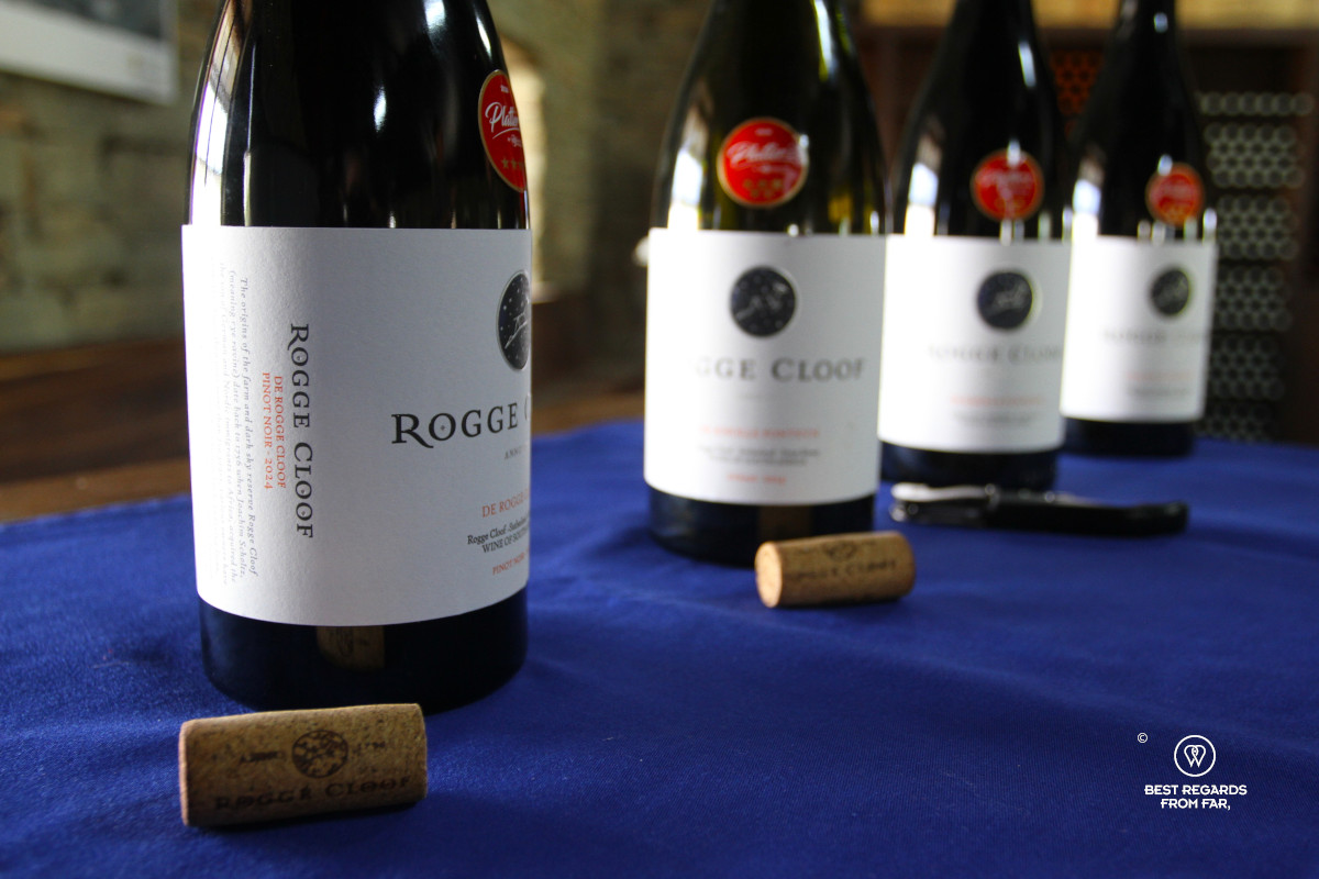 Wine tasting at Rogge Cloof with different bottles of the Rogge Cloof wines.